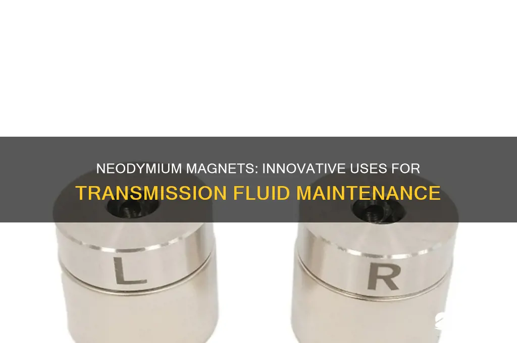 what can you use neodymium magnets for transmission fluid
