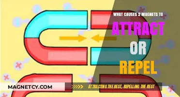 Magnetic Forces: Understanding Attraction and Repulsion Between Magnets