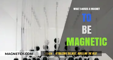 Unlocking the Mysteries: What Makes a Magnet Magnetic?
