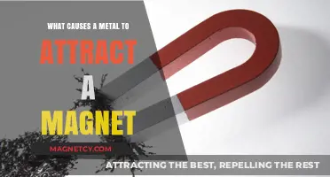 Magnetic Metals: Understanding the Science Behind Magnetic Attraction