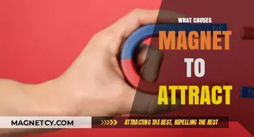 Unveiling the Science Behind Magnetic Attraction: What Causes Magnets to Attract?