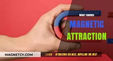 Unveiling the Science Behind Magnetic Attraction: Causes and Mechanisms