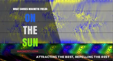 Unveiling the Solar Dynamo: What Drives the Sun's Magnetic Fields?