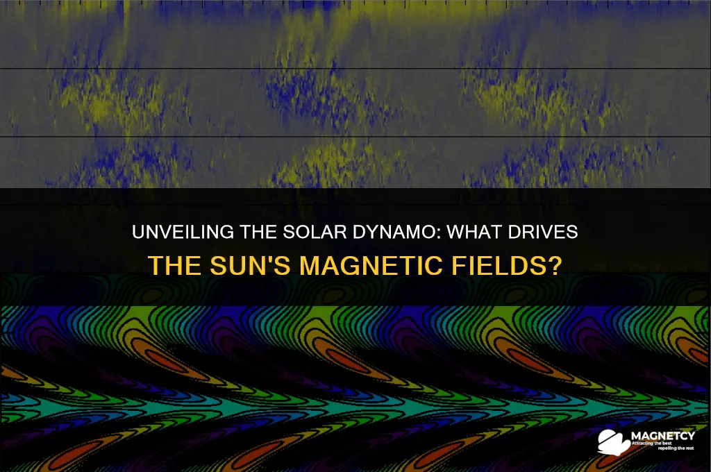 what causes magnetic fields on the sun