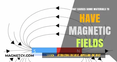 Unlocking the Secrets: What Gives Materials Magnetic Powers?