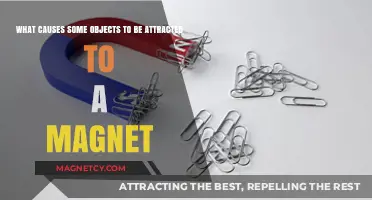 Magnetic Attraction: Unveiling the Science Behind Object Magnetism