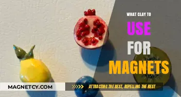 Best Clay Types for Crafting Durable and Strong Magnetic Creations