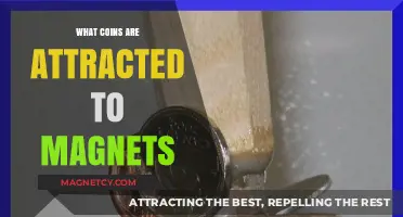 Magnetic Metals: Which Coins Stick to Magnets and Why?