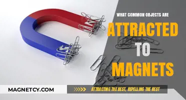 Magnetic Mysteries: Everyday Objects That Stick to Magnets