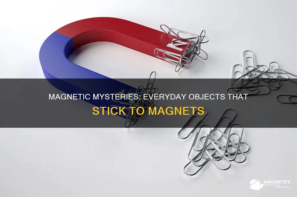 what common objects are attracted to magnets