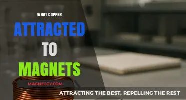 Is Copper Magnetic? Exploring Its Attraction to Magnets and Why