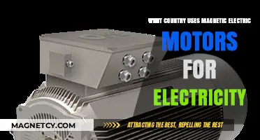 Magnetic Electric Motors: Which Country Leads in This Innovative Technology?