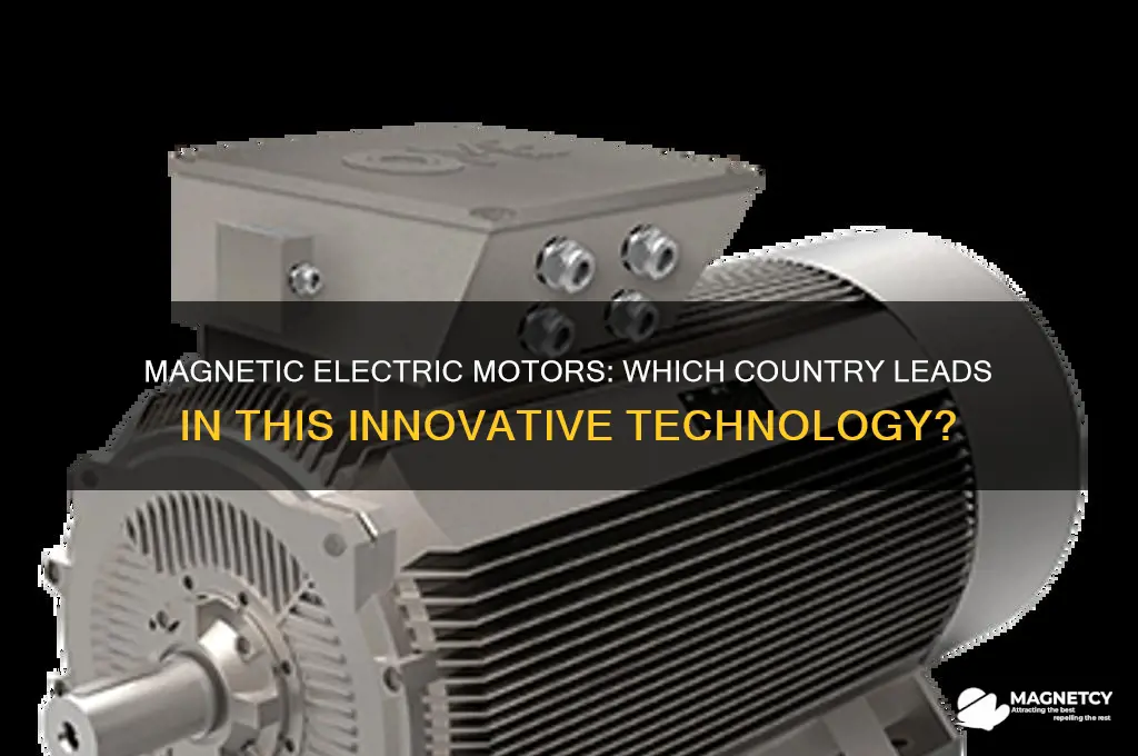 what country uses magnetic electric motors for electricity