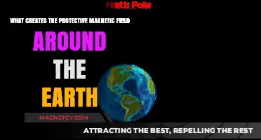 Shielded by Nature: The Invisible Force Defending Our Planet