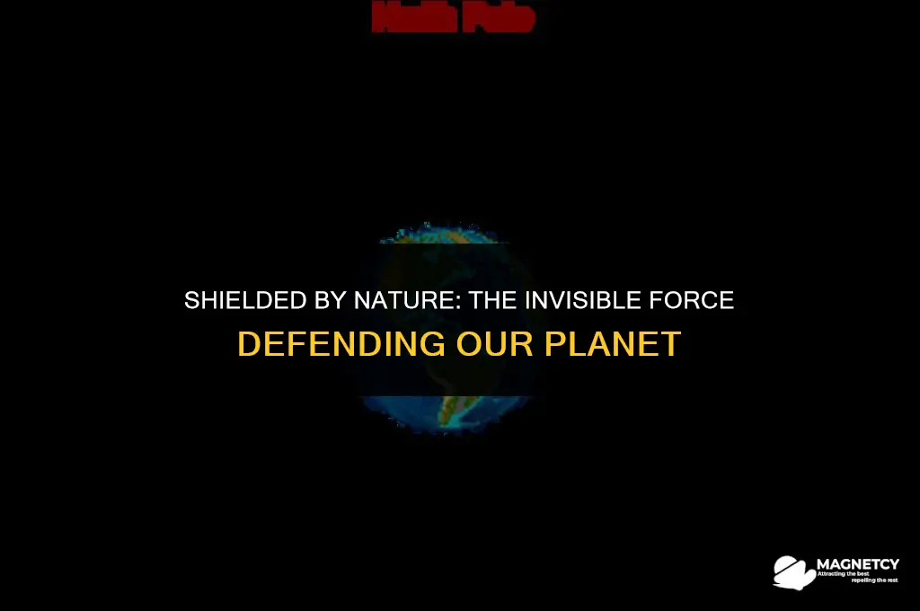 what creates the protective magnetic field around the earth