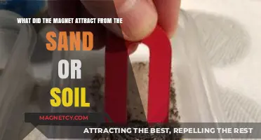 Magnetic Discoveries: Unveiling What Magnets Extract from Sand and Soil