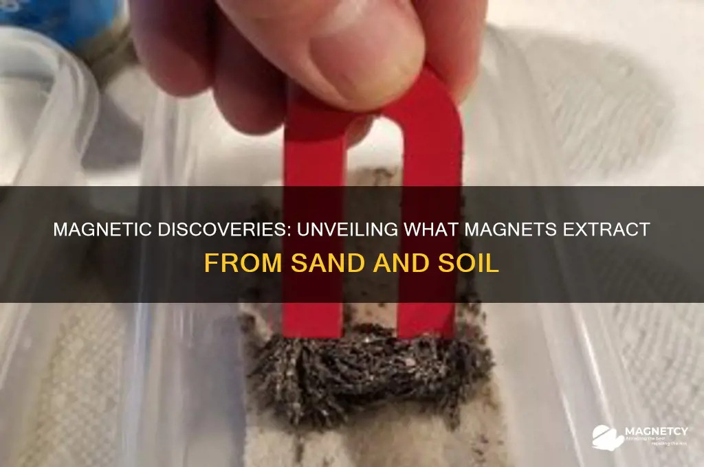 what did the magnet attract from the sand or soil