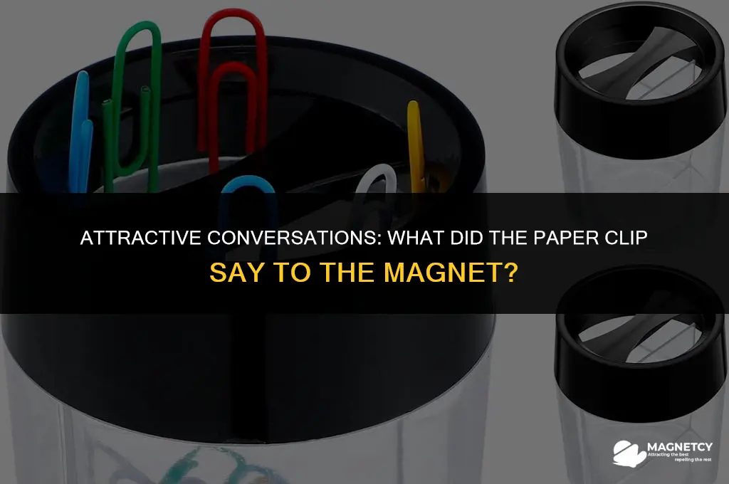 what did the paper clip say to the magnet