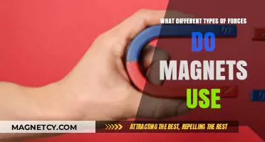 Magnetic Forces Explained: Exploring the Types and Their Unique Powers