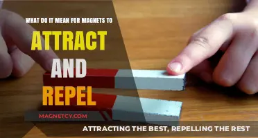 Magnetic Forces: Understanding Attraction and Repulsion in Magnets