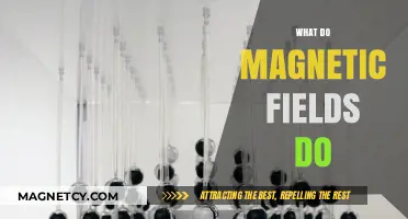 Unveiling the Invisible: How Magnetic Fields Shape Our World