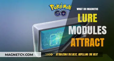 Magnetic Lure Modules: Unveiling Their Mysterious Attraction Secrets