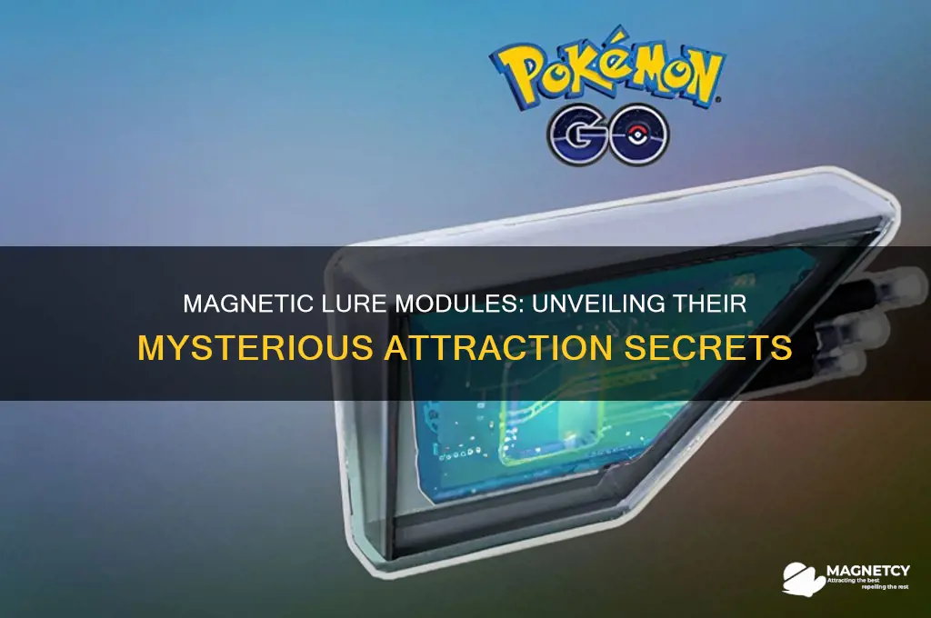what do magnetic lure modules attract