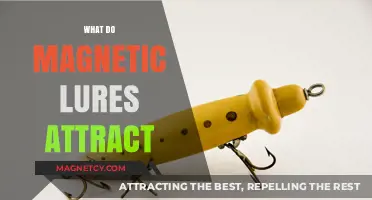 Magnetic Lures: Unveiling Their Surprising Attraction Secrets and Uses