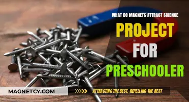 Fun Magnet Science: Discover What Magnets Attract for Preschoolers