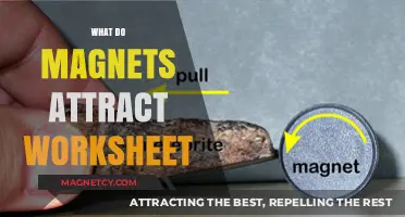 Exploring Magnetic Attraction: What Do Magnets Attract Worksheet Guide