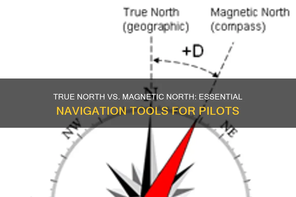what do pilots use true north & magnetic north