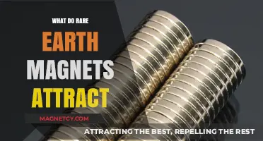 What Rare Earth Magnets Attract: Unveiling Their Unique Magnetic Pull