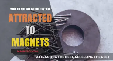 Magnetic Metals: Unveiling the Ferrous Materials Drawn to Magnets