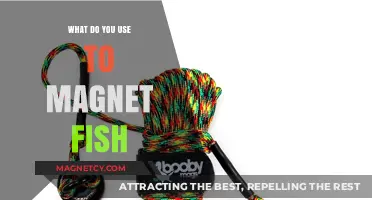 Essential Gear for Magnet Fishing: Tools and Tips for Success