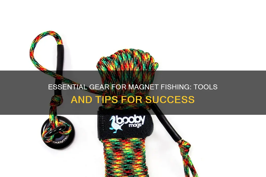 what do you use to magnet fish