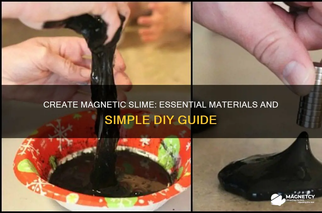 what do you use to make magnetic slime