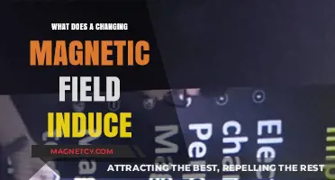 Exploring the Effects of Changing Magnetic Fields: Induction Insights