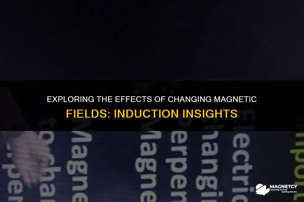 what does a changing magnetic field induce