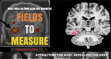 How FMRI Scans Use Magnetic Fields to Measure Brain Activity
