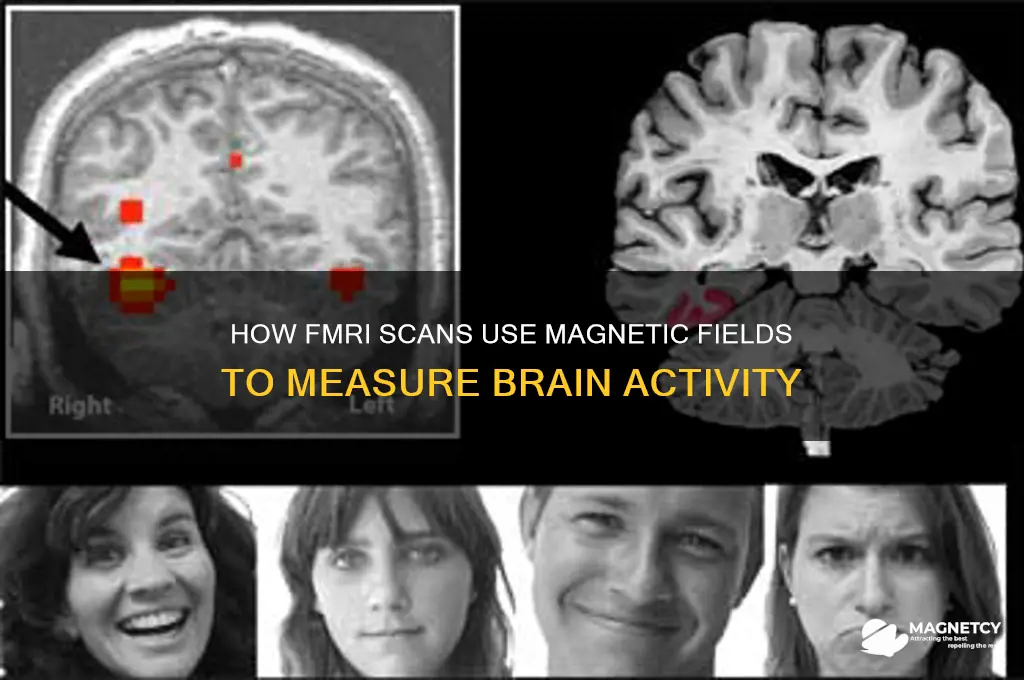 what does an fmri scan use magnetic fields to measure