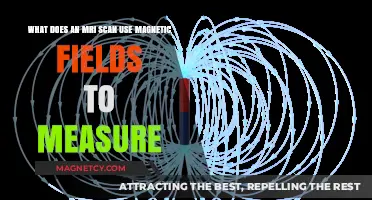 How MRI Scans Utilize Magnetic Fields to Measure Body Tissues