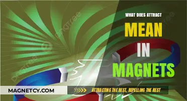 Understanding Magnetic Attraction: What Does 'Attract' Mean in Magnets?