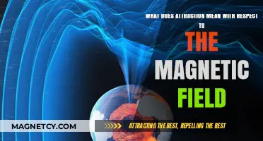 Understanding Magnetic Attraction: Exploring Forces in Magnetic Fields
