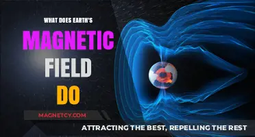 Shielding Life: The Vital Role of Earth's Magnetic Field