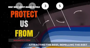 Shielded: How Earth's Magnetic Field Safeguards Life from Cosmic Threats