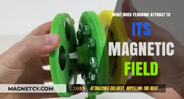 Fluorine's Magnetic Attraction: Unveiling Its Unique Elemental Interactions