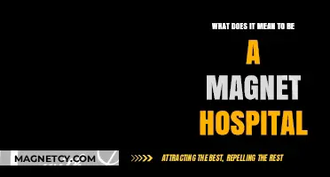 Attracting Excellence: Understanding Magnet Hospitals and Their Impact