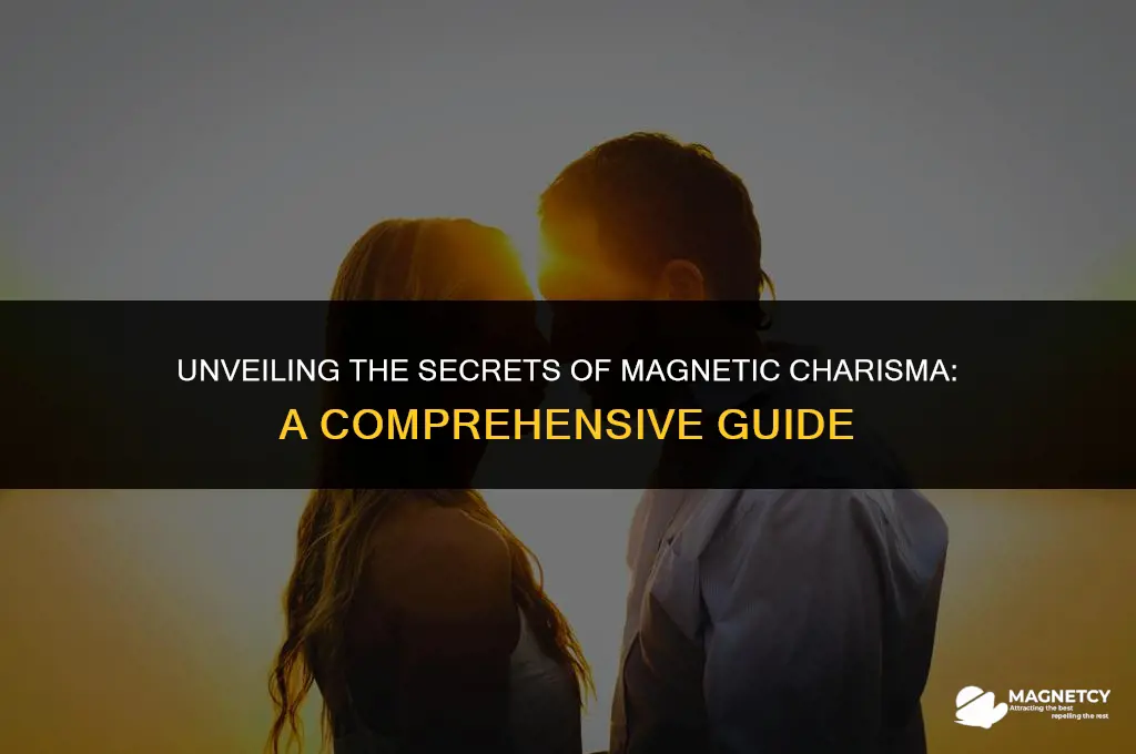 what does it mean to be magnetic