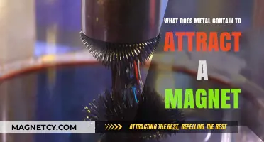 Magnetic Metals: Unveiling the Elements That Attract Magnets