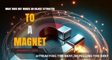 Non-Magnetic Materials: Understanding What Doesn't Attract to Magnets